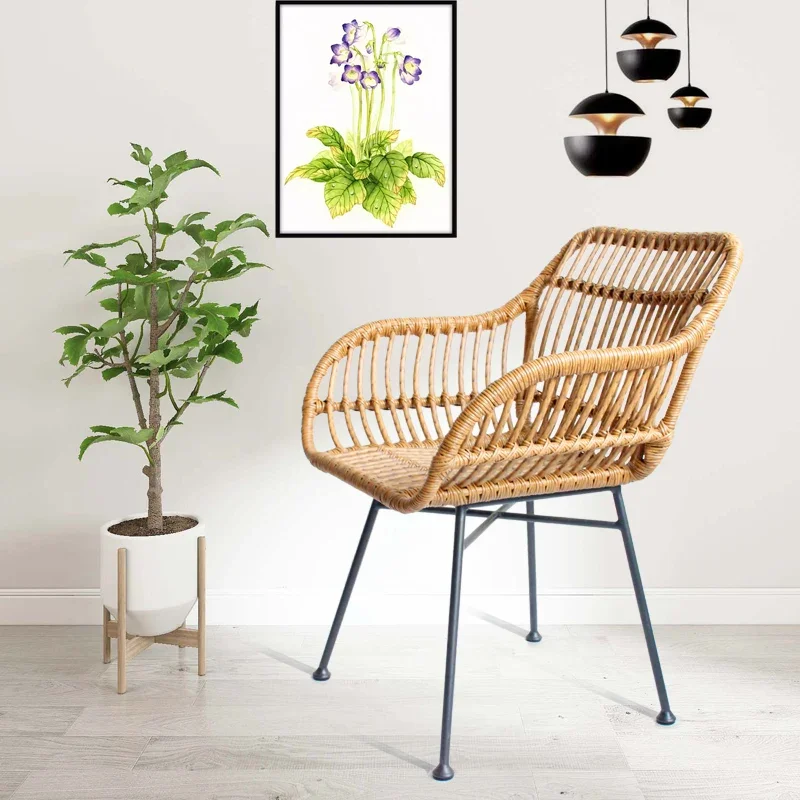 Cadeiras de Jantar Nórdicas pa - Outdoor Furniture Kitchener avaliação e preço